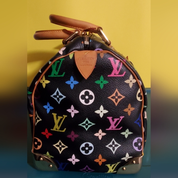 Louis Vuitton Multicolor Speedy - Picture 4 of 16